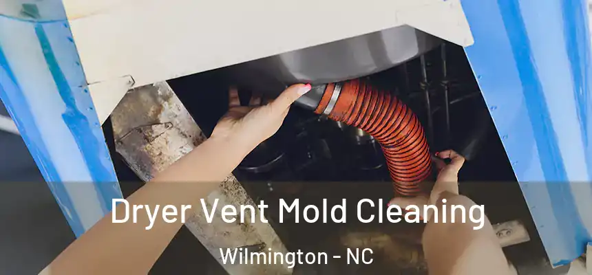  Dryer Vent Mold Cleaning Wilmington - NC