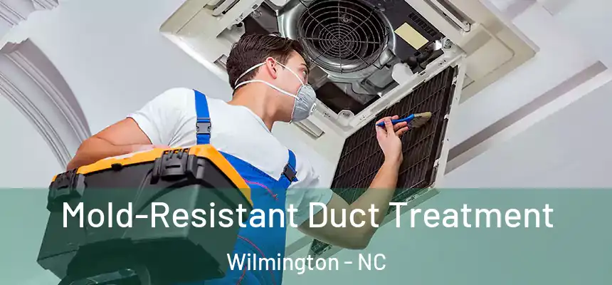  Mold-Resistant Duct Treatment Wilmington - NC