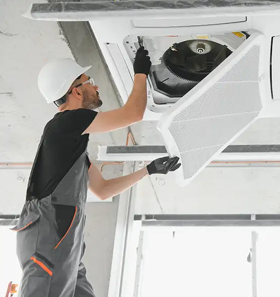 About Air Duct Rodent Removal in Wilmington, NC