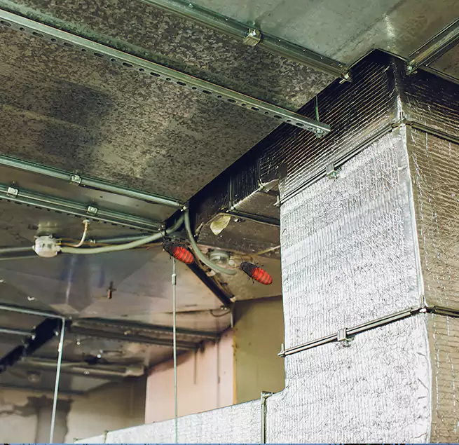 Why Homeowners & Businesses Trust Us in Wilmington, NC?