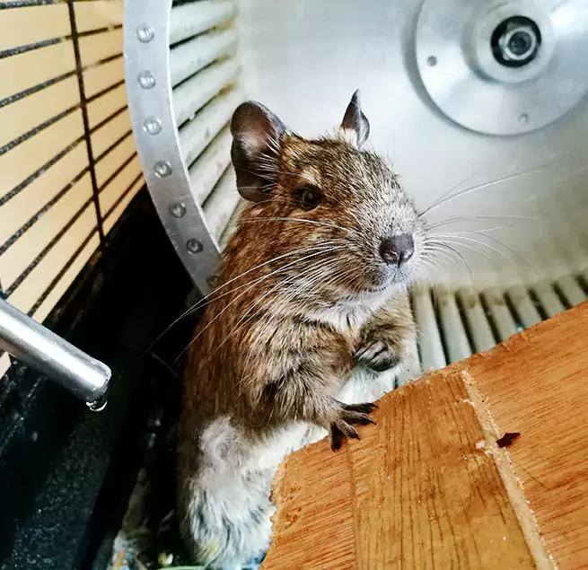 Why Homeowners & Businesses Trust Us Wilmington, NC