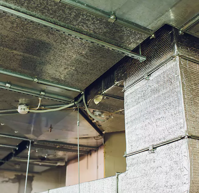 Why Homeowners & Businesses Trust Us in Wilmington, NC?